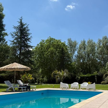 Appartement Familial Au Bord De La Marne, Jardin 8000M2, Piscine, Court De Tennis, Terrasse, Parking Gratuit Proche Disneyland Isles-les-Villenoy Bagian luar foto