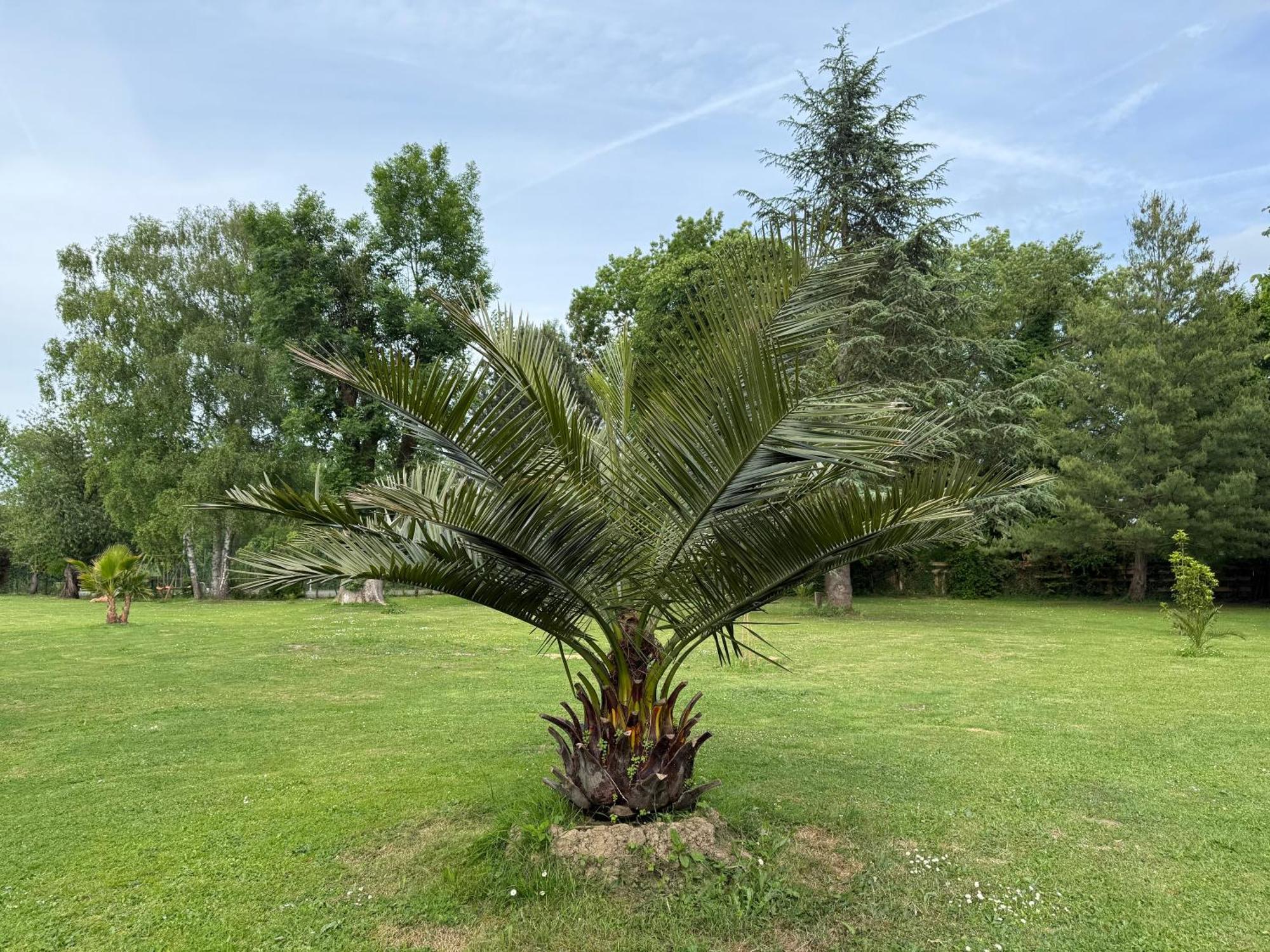 Appartement Familial Au Bord De La Marne, Jardin 8000M2, Piscine, Court De Tennis, Terrasse, Parking Gratuit Proche Disneyland Isles-les-Villenoy Bagian luar foto